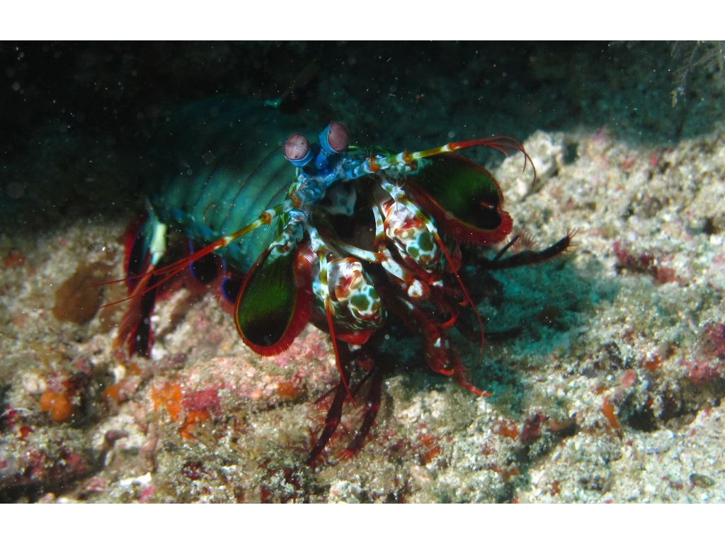 IMG_6921 - Version 2 IMG_6921 - Version 2